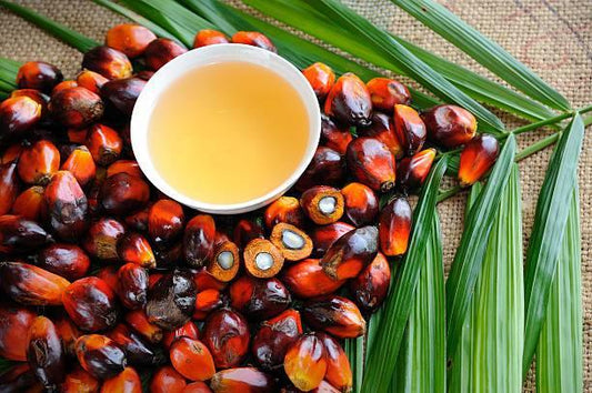 Palm-Oil: The Choice is in Our Hands - UrthlyOrganics Natural ethical skincare and cleaning