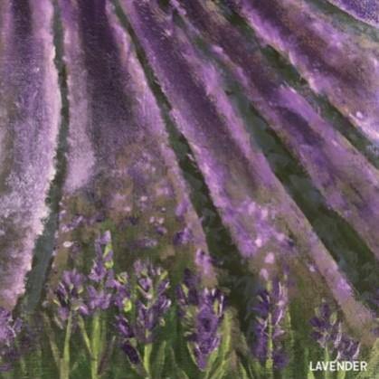 Urthly Organics Cards - UrthlyOrganics Natural ethical skincare and cleaning