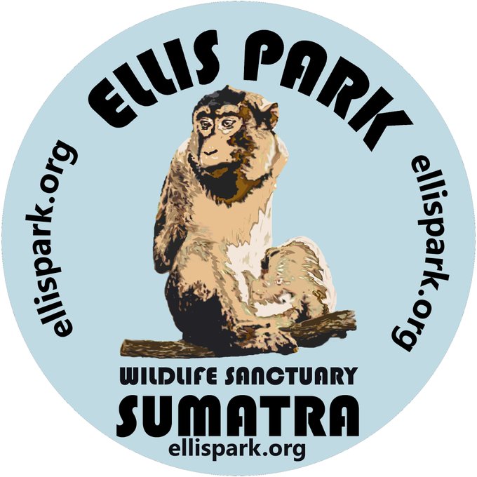 Ellis Park Charity Soap