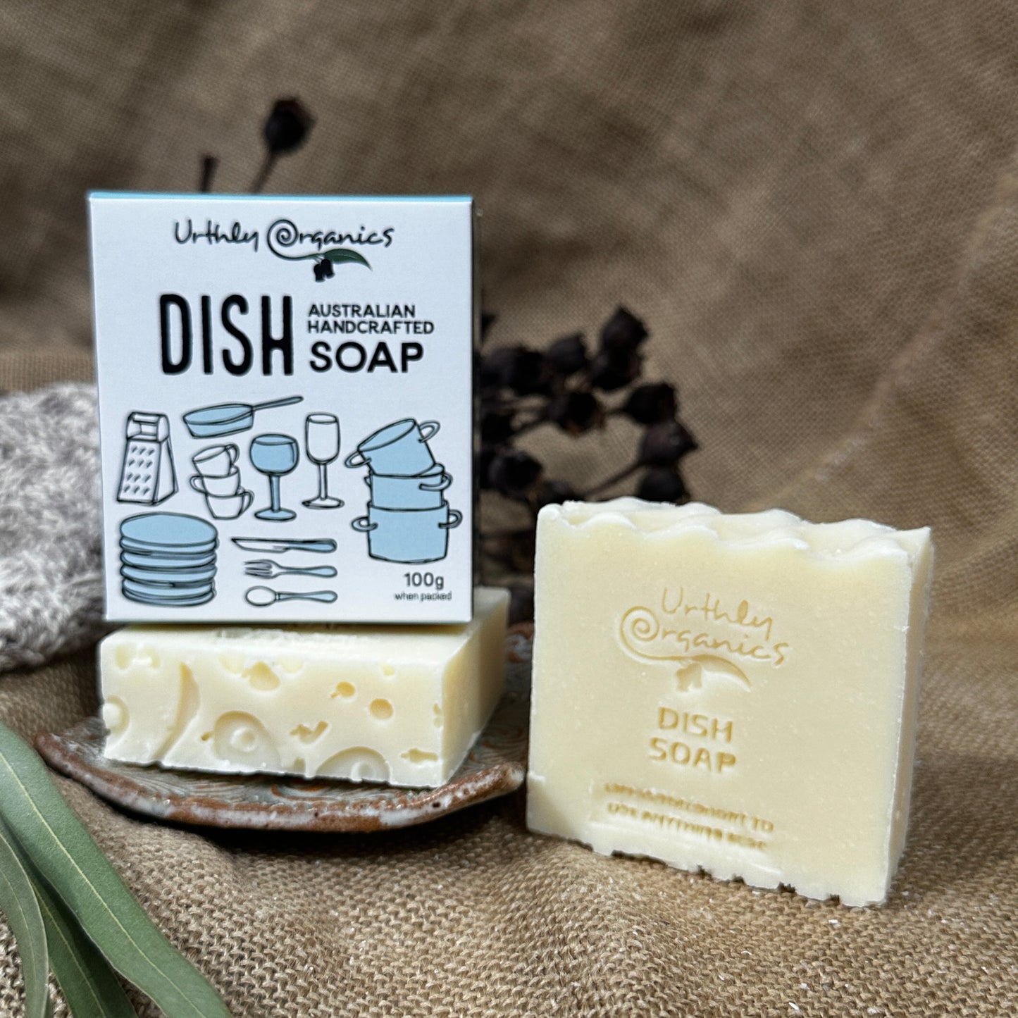 Lemongrass and Eucalyptus Dish Soap